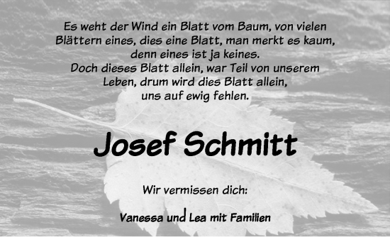 Traueranzeige von Josef Schmitt von Dinkelsbühl/ Feuchtwangen