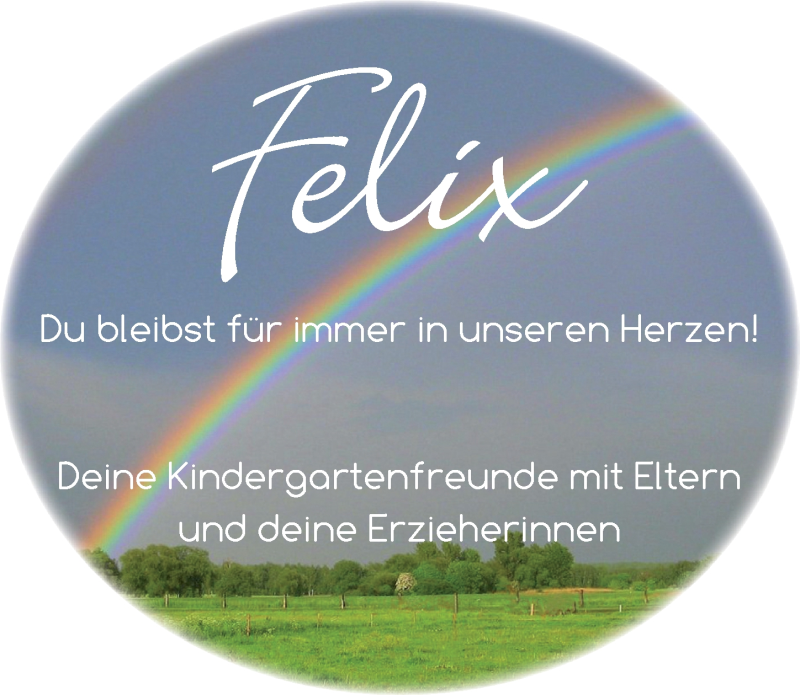  Traueranzeige für Felix  vom 20.03.2019 aus Dinkelsbühl/ Feuchtwangen