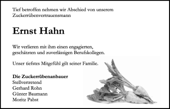 Traueranzeige von Ernst Hahn von Rothenburg