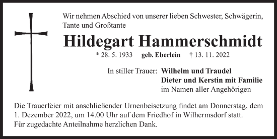 Traueranzeige von Hildegart Hammerschmidt von Neustadt/ Scheinfeld/ Uffenheim