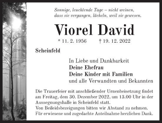 Traueranzeige von Viorel David von Neustadt/ Scheinfeld/ Uffenheim