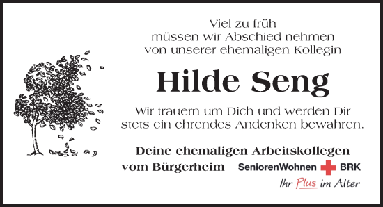 Traueranzeige von Hilde Seng von Rothenburg