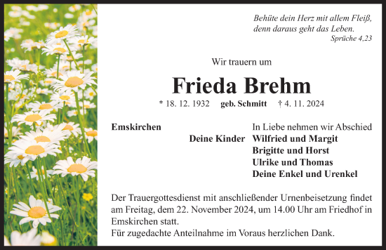 Traueranzeige von Frieda Brehm von Neustadt/ Scheinfeld/ Uffenheim