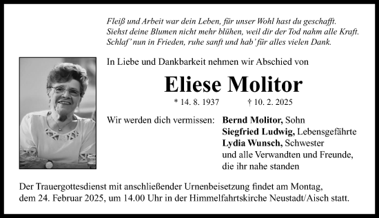 Traueranzeige von Eliese Molitor von Neustadt/ Scheinfeld/ Uffenheim