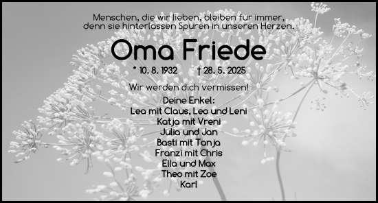 Traueranzeige von Friede  von Dinkelsbühl/ Feuchtwangen