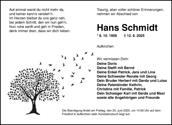 Traueranzeige von Hans Schmidt von Dinkelsbühl/ Feuchtwangen