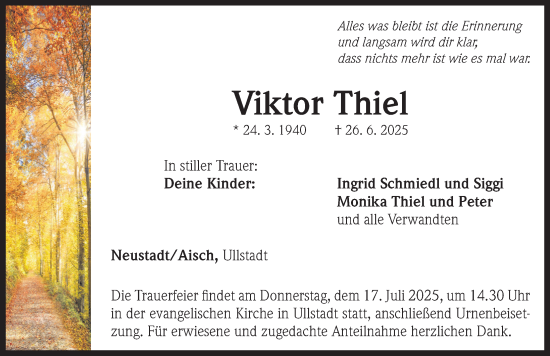 Traueranzeige von Viktor Thiel von Neustadt/ Scheinfeld/ Uffenheim