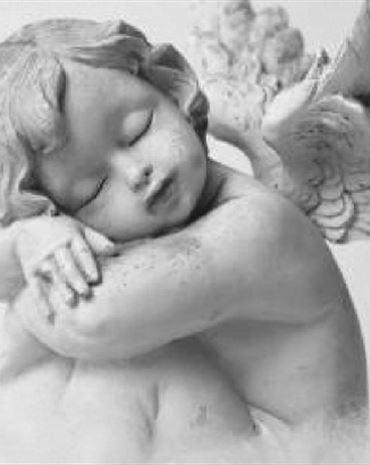 Profilbild von Brigitte Schülein