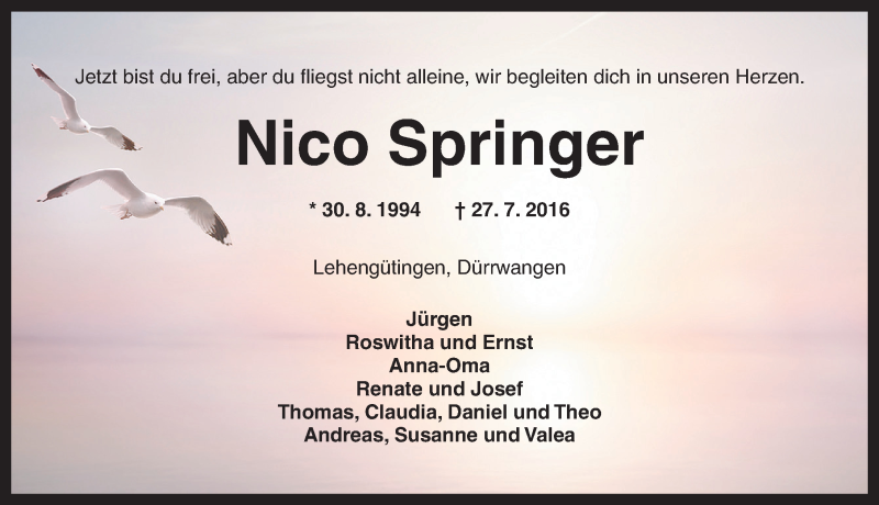  Traueranzeige für Nico Springer vom 30.07.2016 aus Dinkelsbühl/ Feuchtwangen