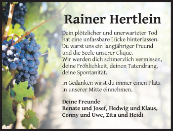 Traueranzeige von Rainer Hertlein von Dinkelsbuhl/ Feuchtwangen